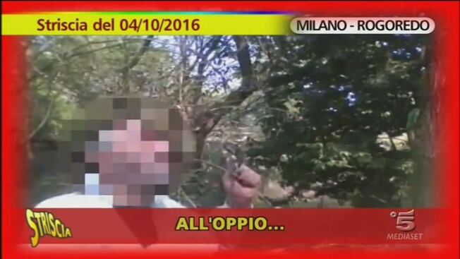 Bosco Della Droga A Milano Striscia La Notizia Video Mediaset Infinity