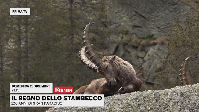 Centenario Del Parco Nazionale Gran Paradiso Promo Video Mediaset