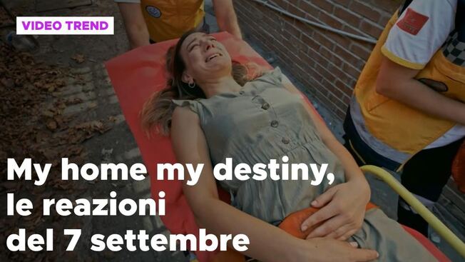 My Home My Destiny Il Riassunto E Le Reazioni Del Settembre My