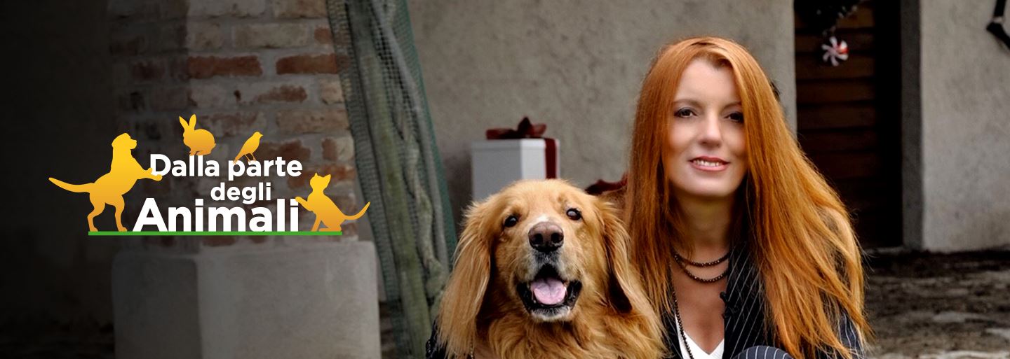 Dalla parte degli animali 2018 Mediaset Play Dalla parte degli animali 2018 Mediaset Play