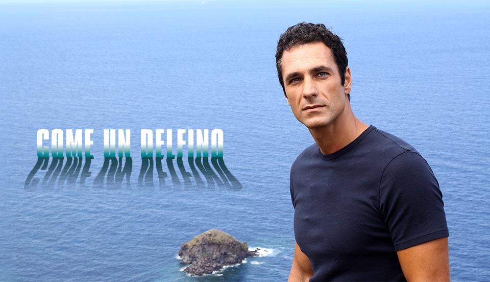 come un delfino
