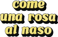 Come una rosa al naso - Film Mediaset Infinity