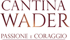 Cantina Wader - Passione e coraggio - Film Mediaset Infinity