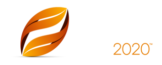Autumn Nations Cup logo