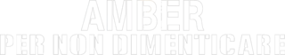 Amber - Per non dimenticare - Film Mediaset Infinity