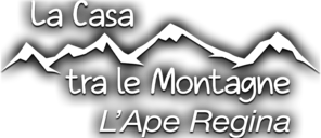 La casa tra le montagne 8 - L'ape regina - Film Mediaset Infinity