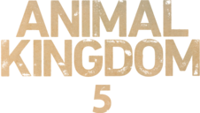Animal kingdom 5 logo