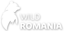 Wild Romania logo