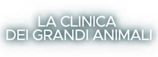 La clinica dei grandi animali logo