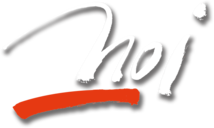 Noi logo