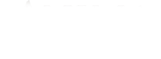 Anima gemella logo