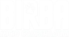 Birba - Micio combinaguai - Film Mediaset Infinity
