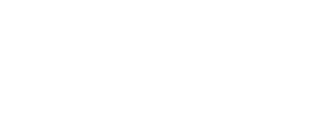 TAF 9 - The Art of Fighting logo