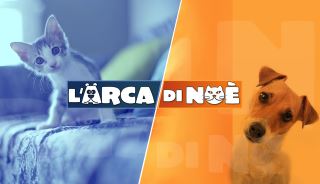 L Arca Di Noe 2015 2016 Mediaset Play