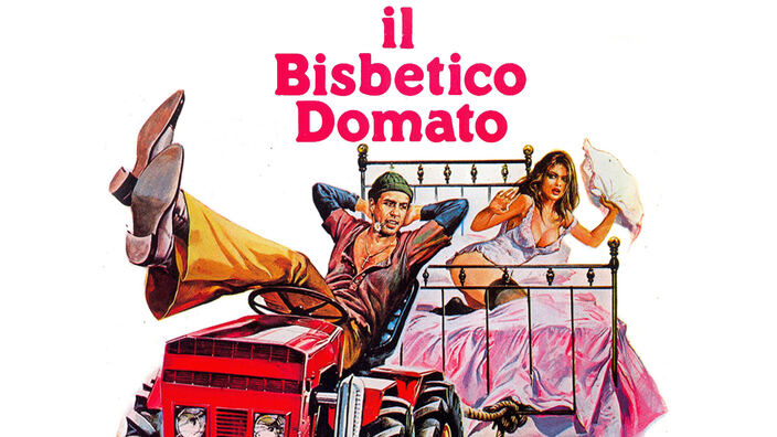 Il bisbetico domato (di f. castellano)