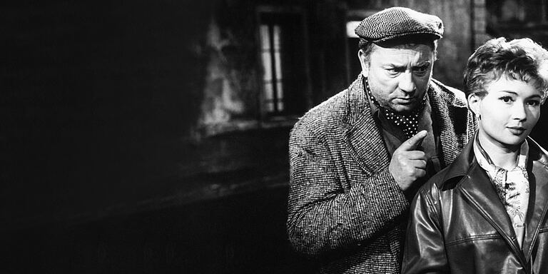 Iris Il quartiere dei lilla'