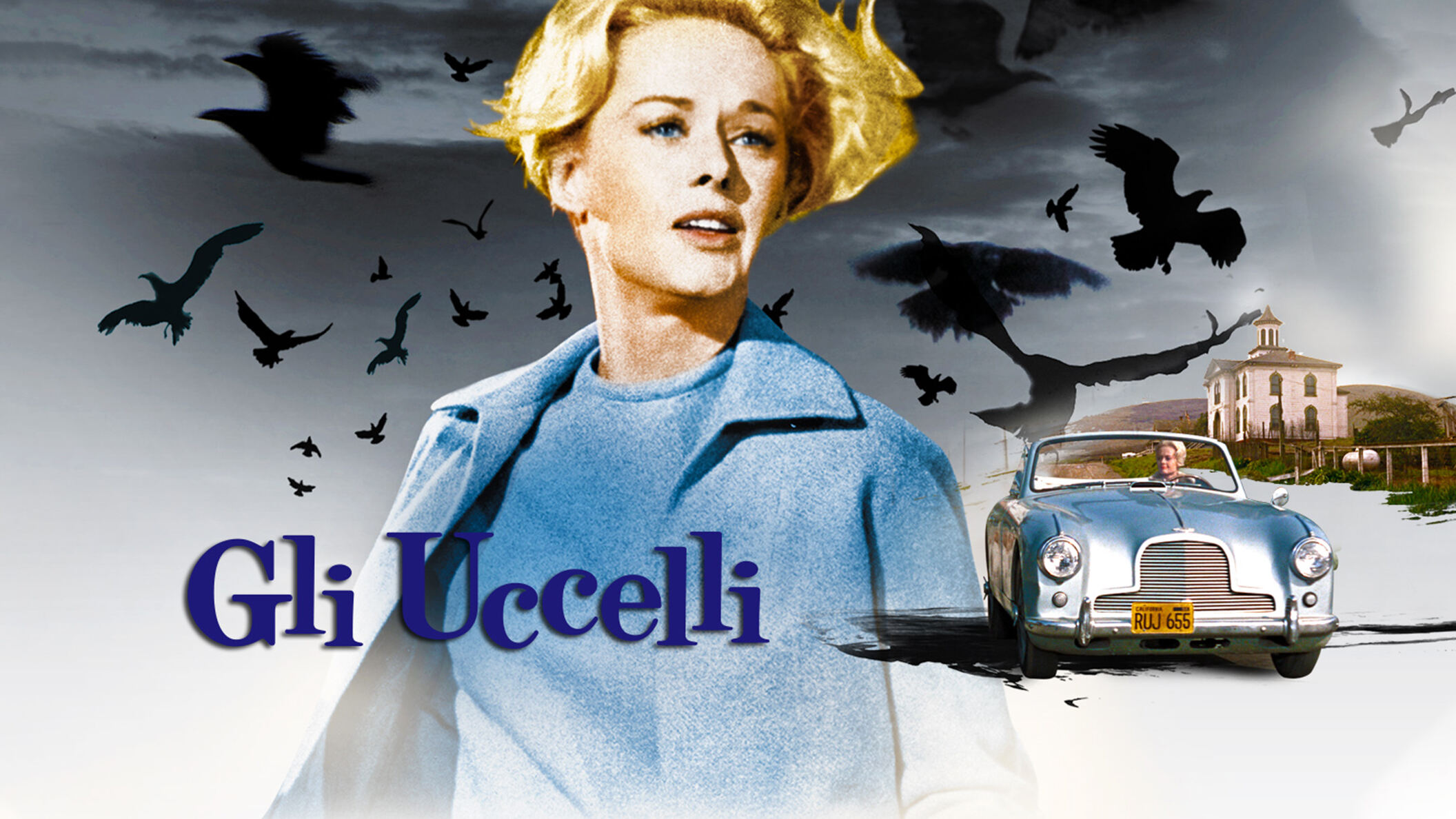 Gli uccelli