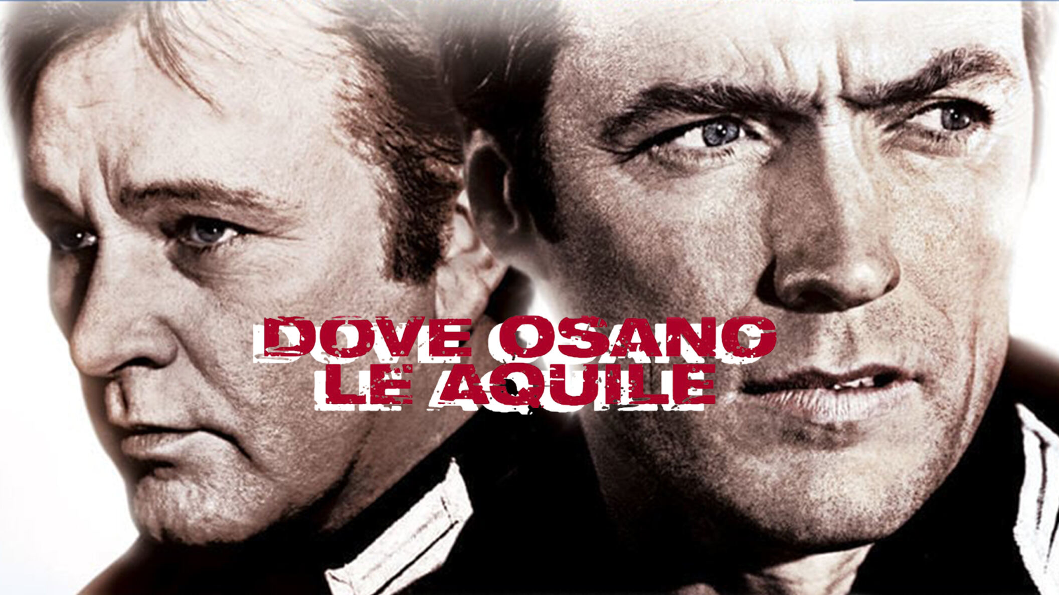 Dove osano le aquile