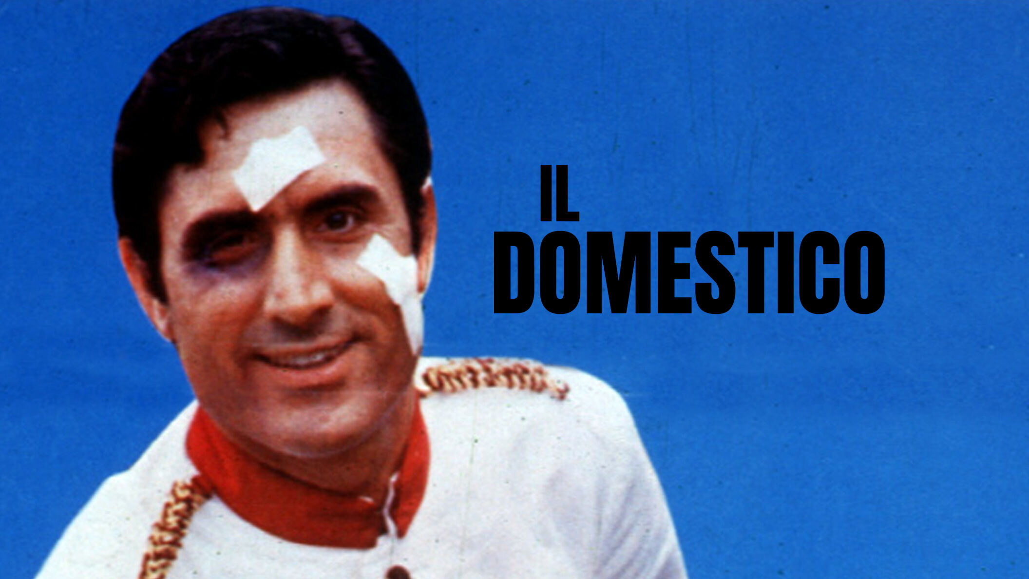 Il domestico