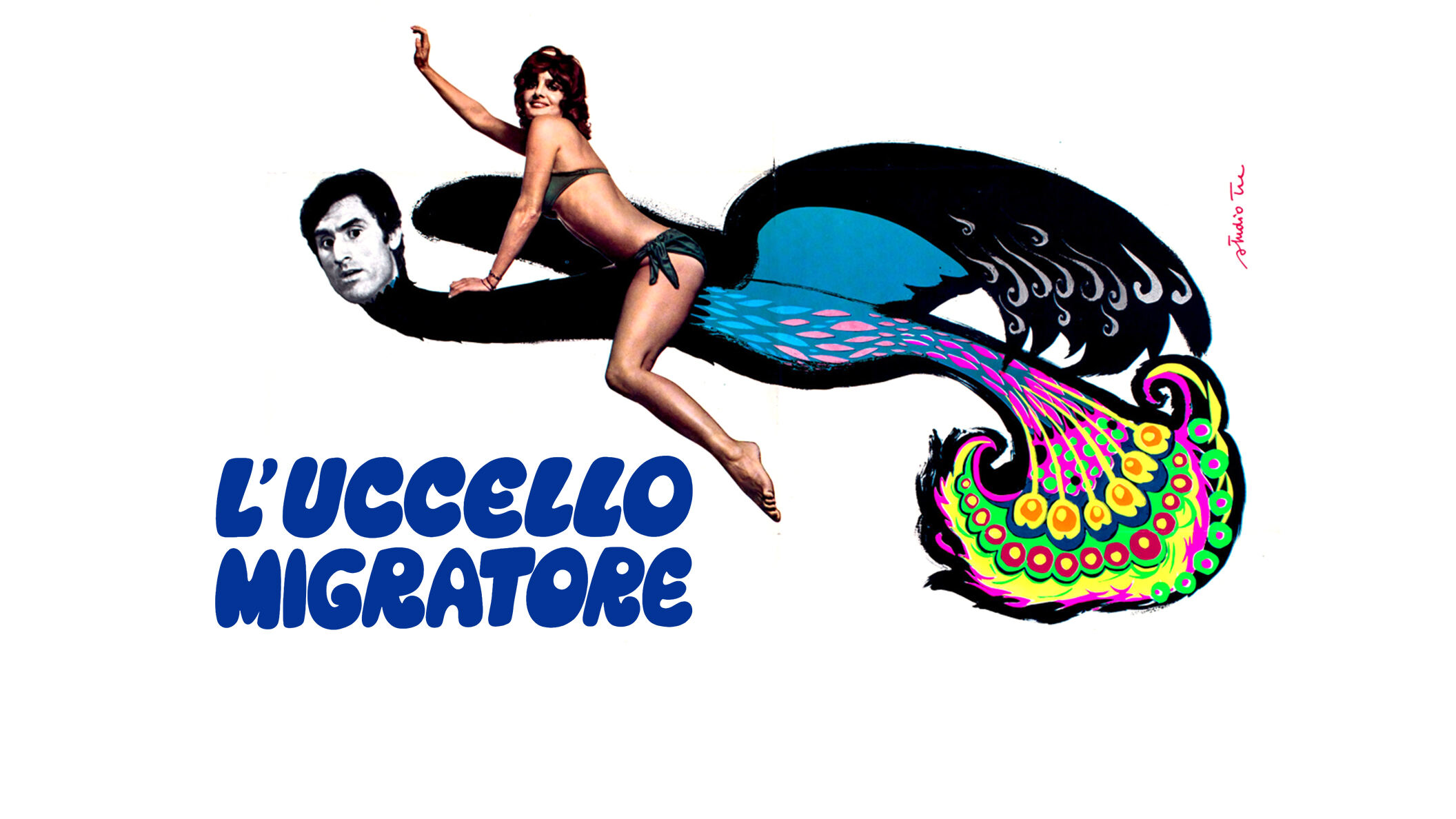 L' uccello migratore