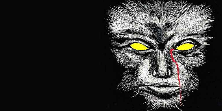 Cine34 Il gatto dagli occhi di giada