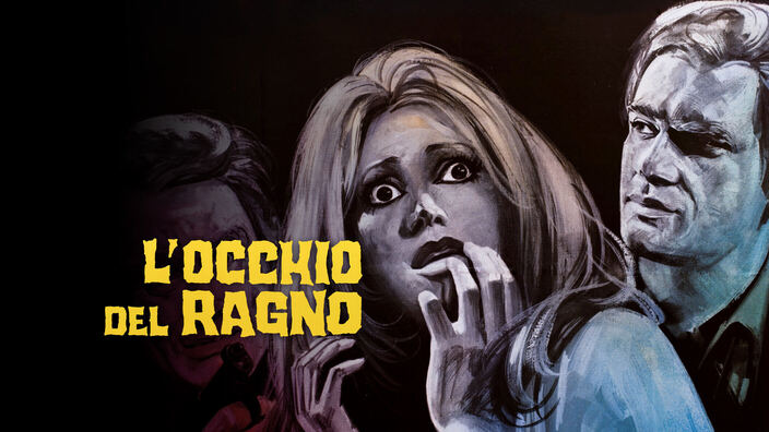 L'occhio del ragno