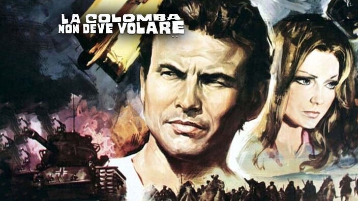 La colomba non deve volare