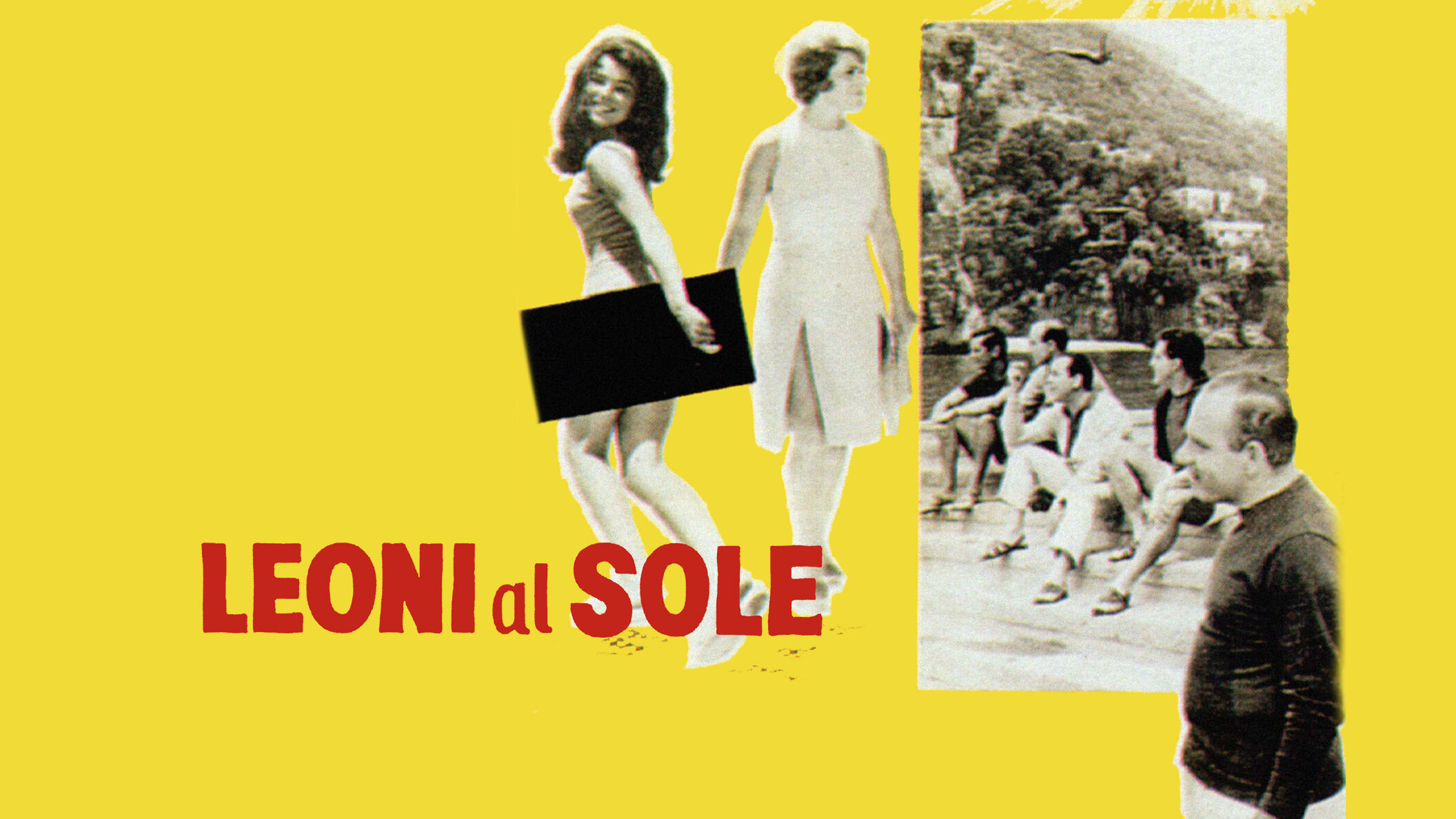 Leoni al sole