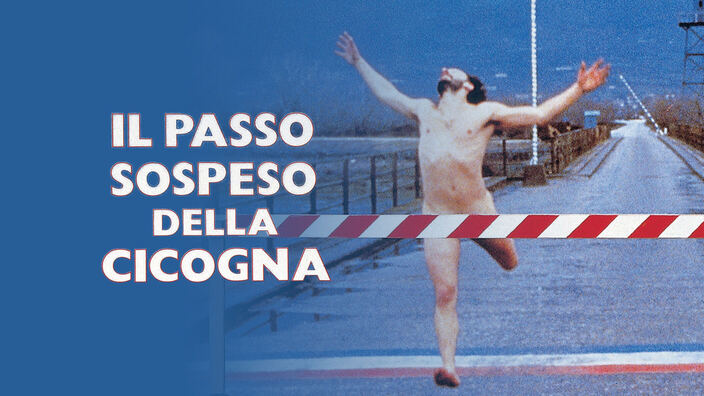 Il passo sospeso della cicogna