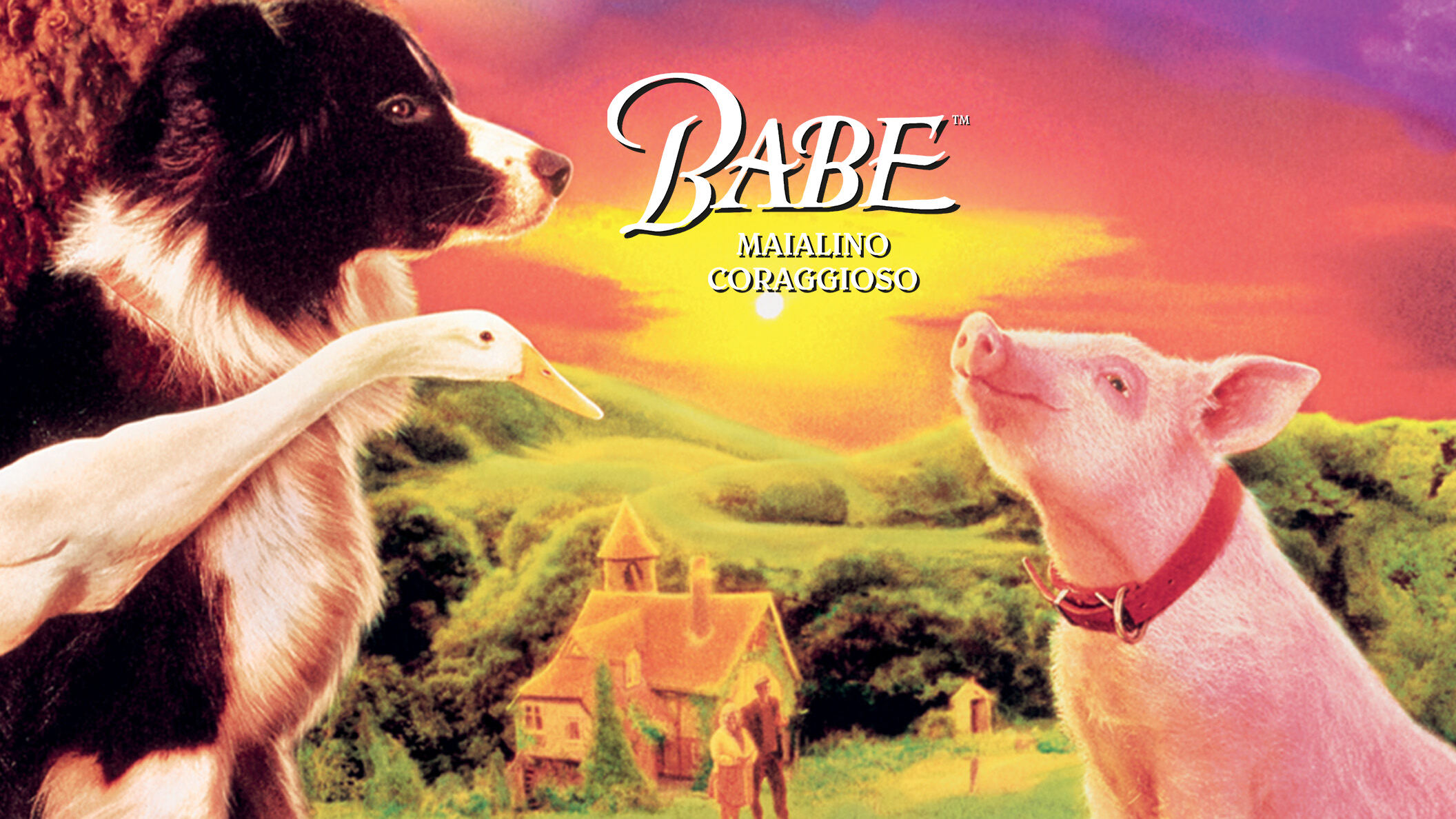 Babe: Maialino coraggioso