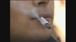 SORTINO: Fumo legalizzato thumbnail