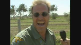 Tony Capuozzo thumbnail