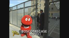 Il Gabibbo a Boscotrecase (NA) thumbnail