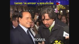 Tapiro d'oro in affido a Silvio Berlusconi thumbnail
