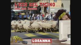 Eco del Ticino vs. Banche thumbnail