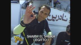 Max Laudadio a Sharm el Sheik thumbnail