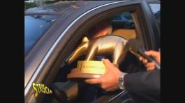 Tapiro a Moggi thumbnail