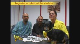Segreterie violate thumbnail