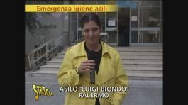 Gli asili di Palermo thumbnail