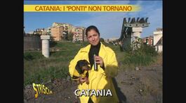 Spreco italiano thumbnail