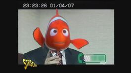 Pesce d'Aprile thumbnail