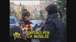 Tapiro dell'anno thumbnail