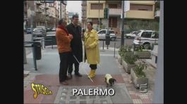 Stefania e il bassotto a Palermo thumbnail