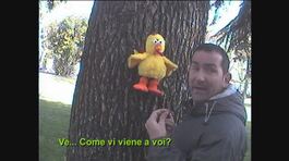BUGS: Truffati dalle Iene a Roma thumbnail