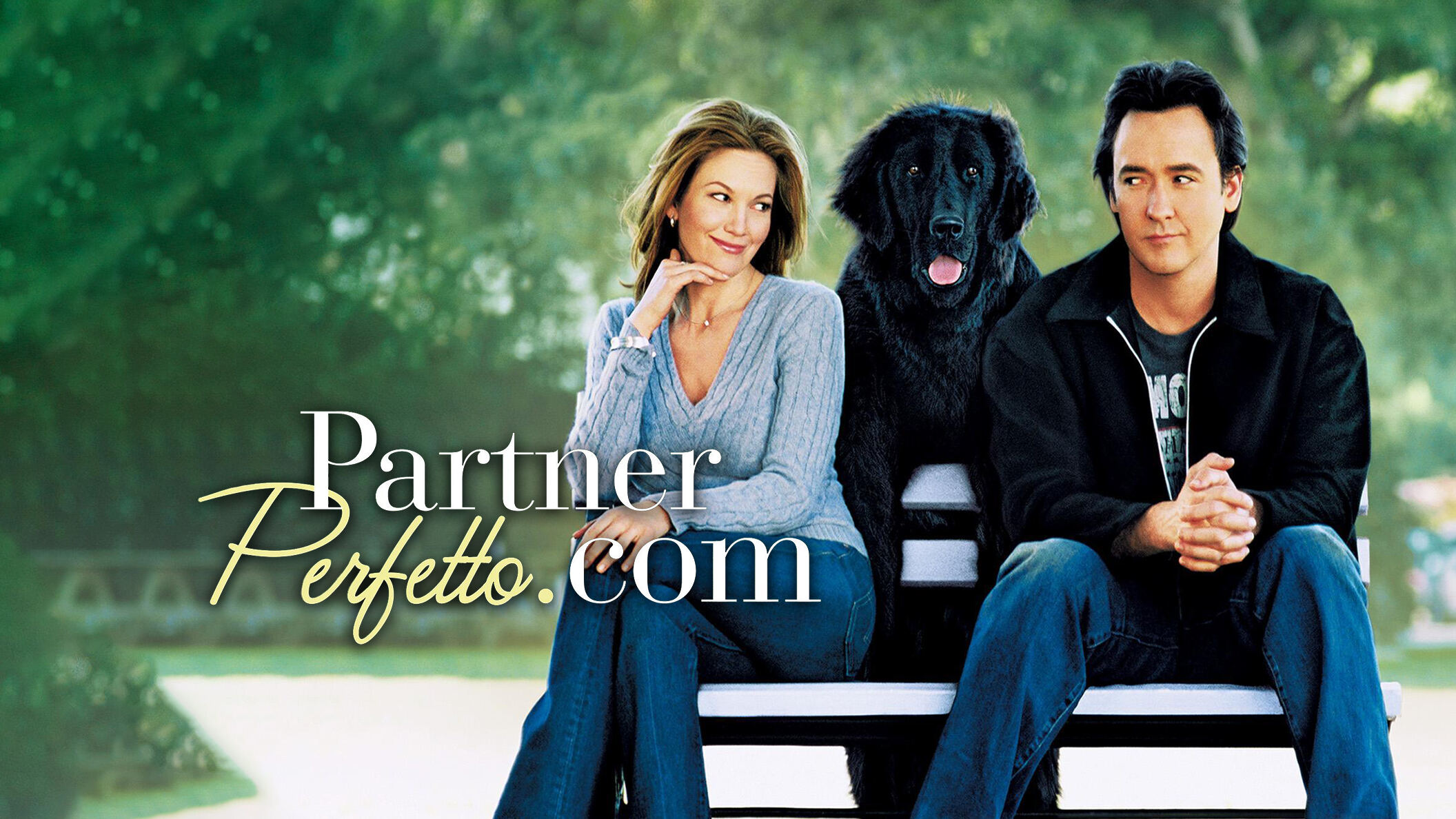Partnerperfetto.com