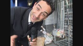 VIVIANI: Raccolta differenziata thumbnail
