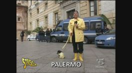 I 'progettini' del comune di Palermo thumbnail