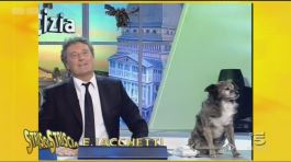 Il cagnolino Willy thumbnail