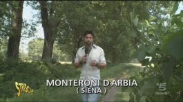 Ritorno a Monteroni D'Arbia thumbnail