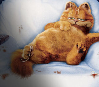 Garfield il supergatto